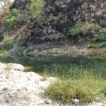 खामगाव तालुक्यातील खुटपुरी येथील २० वर्षीय युवक वारि हनुमान वाननदि डोहात बुडाला