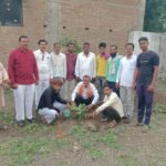 पत्रकार शेख अनिस स्मृतीदिना निमित्त वृक्षरोपण विद्यार्थ्यांना लेटर ,वही पेन वितरण